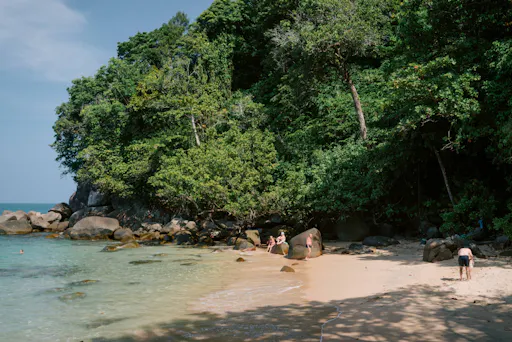 Khao Lak full-day nature tour with turtle shelter visit