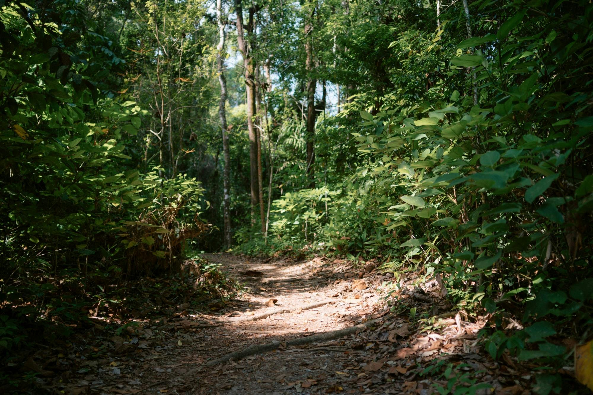 Khao Lak full-day nature tour with turtle shelter visit