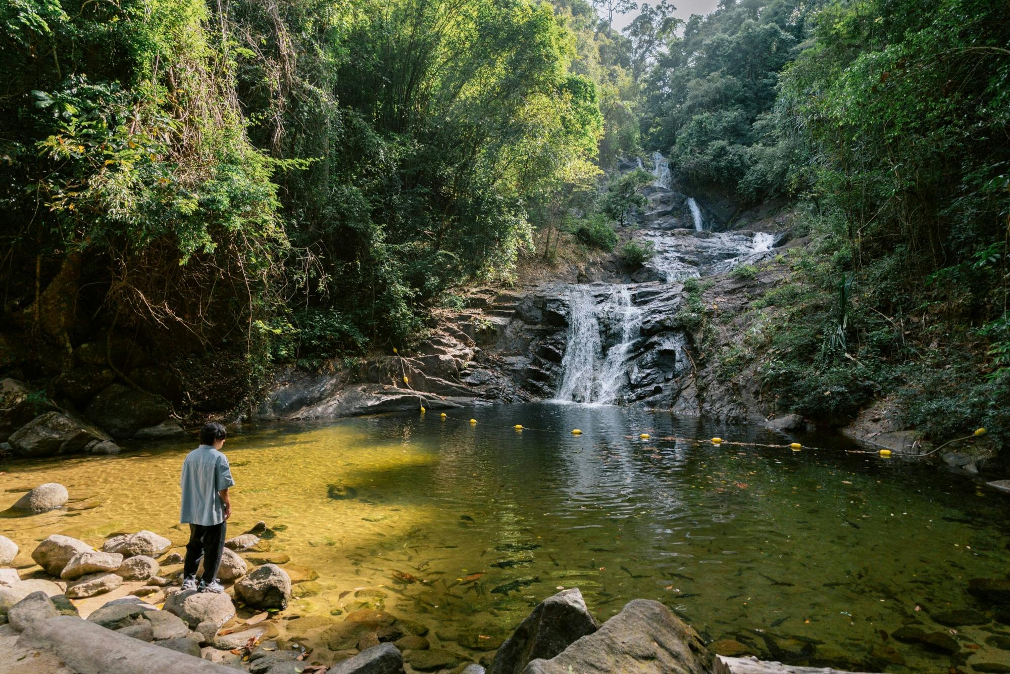 Khao Lak full-day nature tour with turtle shelter visit