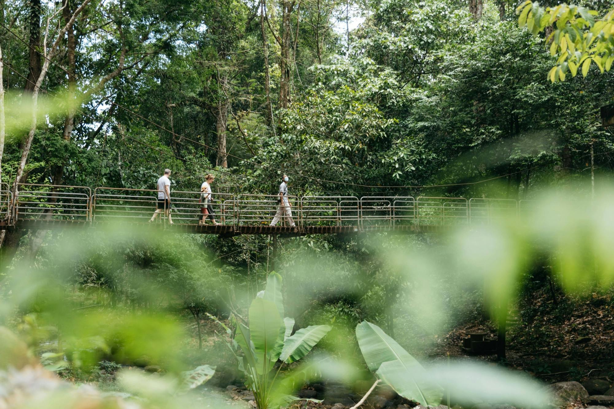 Khao Lak full-day nature tour with turtle shelter visit