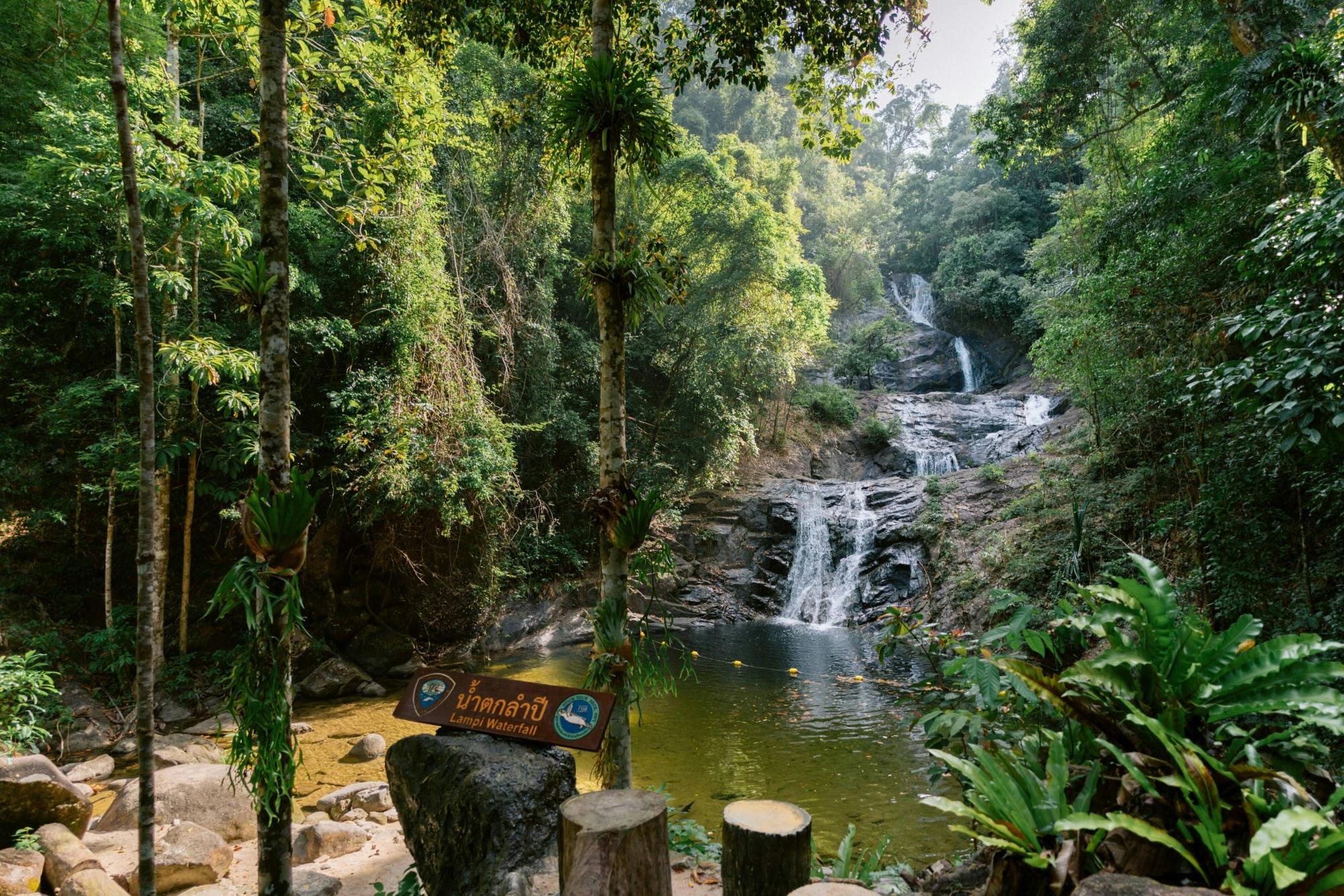 Khao Lak full-day nature tour with turtle shelter visit