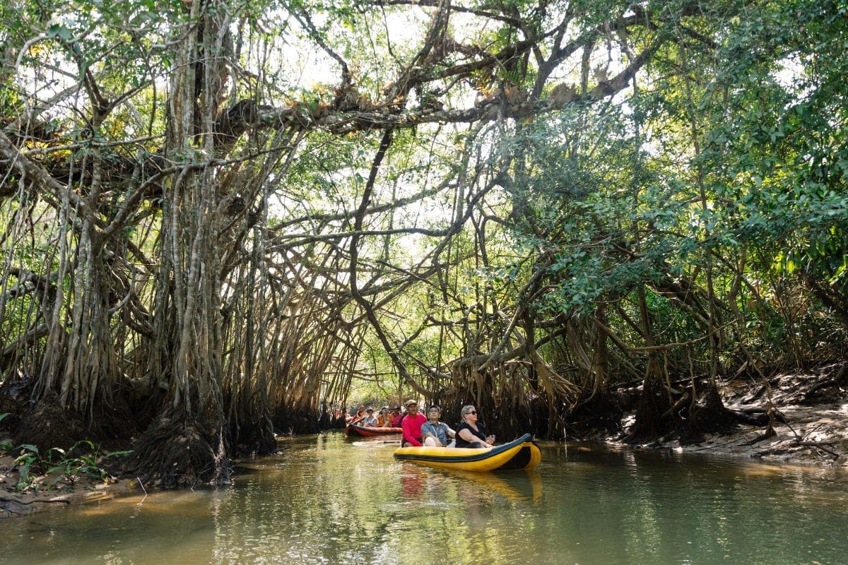 Zaginiony Świat Amazoni i Stare Miasto z Khao Lak