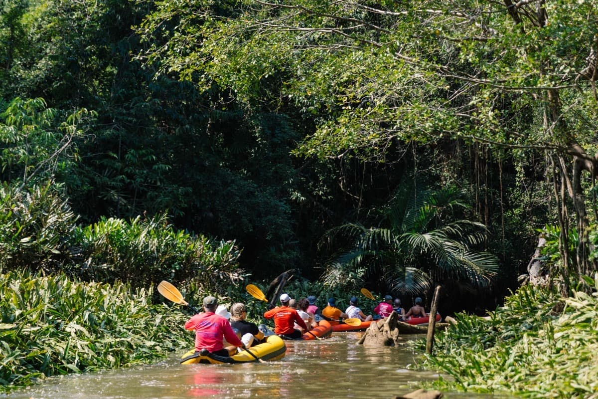 The Lost Zone Amazon & Old Town from Khao Lak