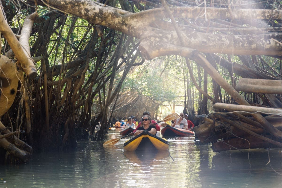 The Lost Zone Amazon & Old Town from Khao Lak