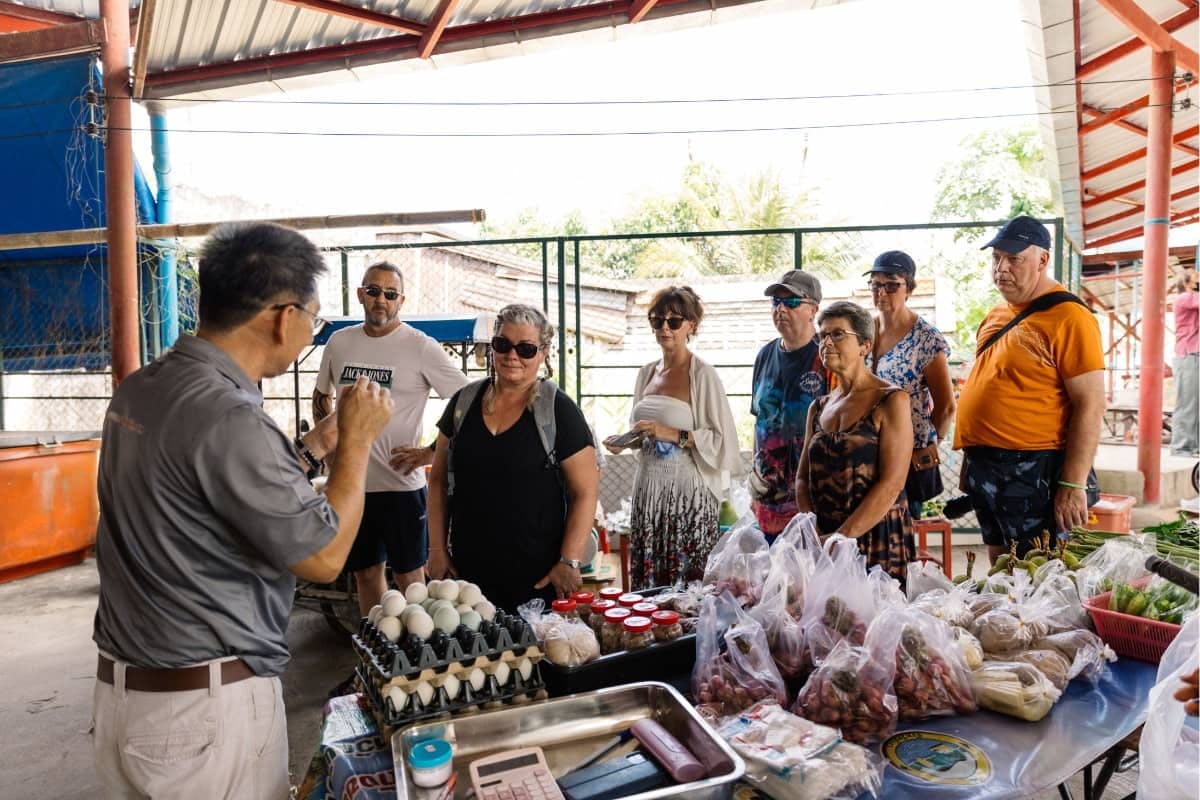 The Lost Zone Amazon & Old Town from Khao Lak