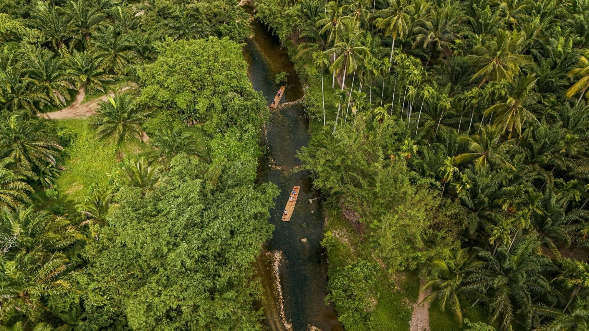 Khao Lak full-day nature tour with turtle shelter visit