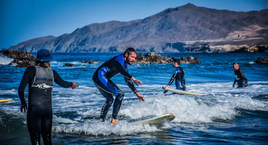 Surfing lessons in the south of Fuerteventura with transfers