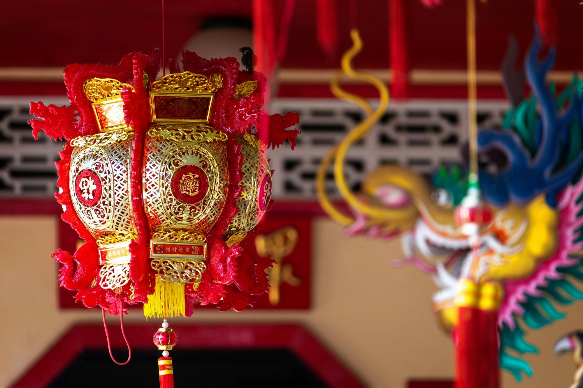 The Lost Zone Amazon & Old Town from Khao Lak