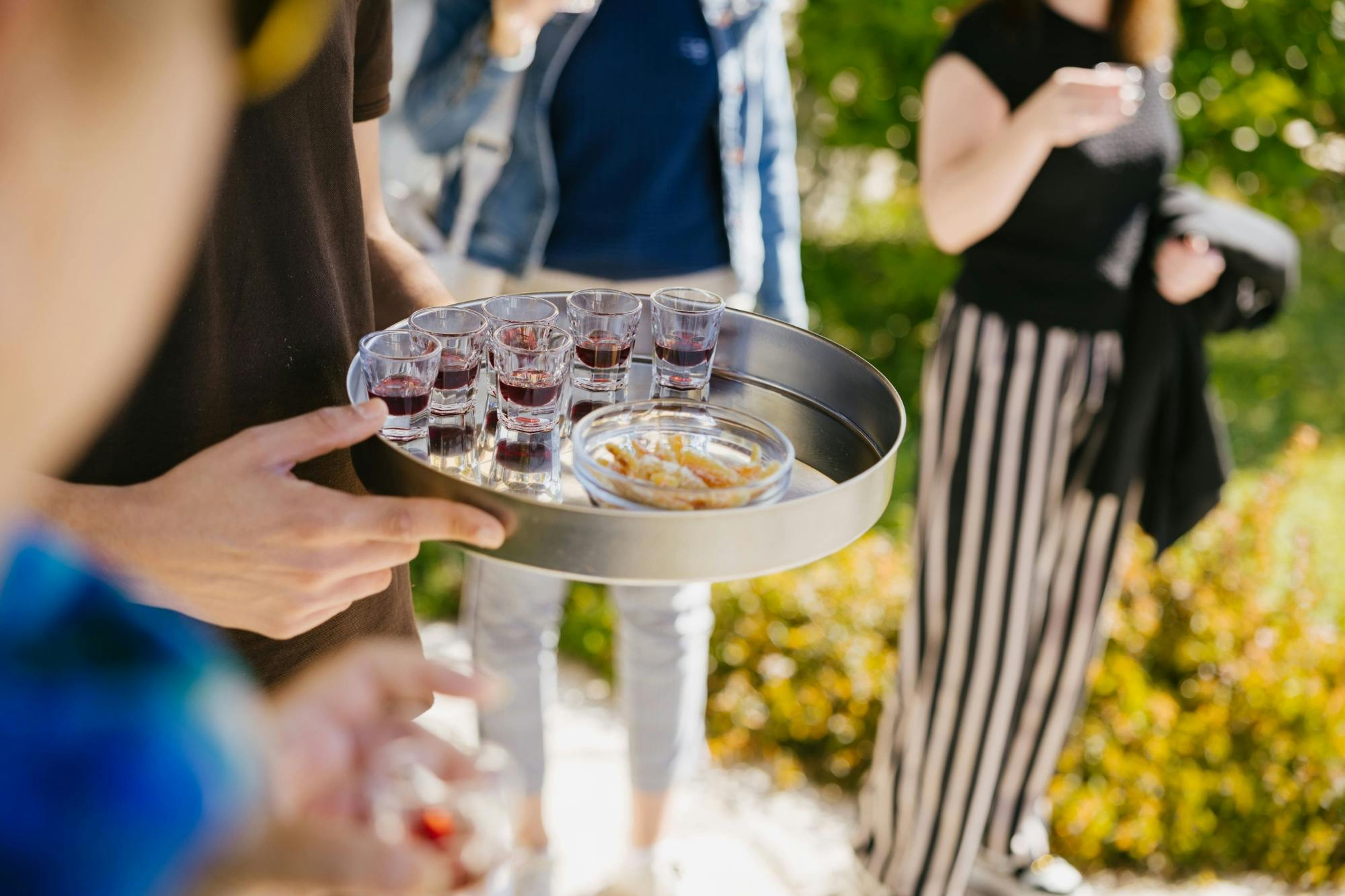 Konavle Valley Wine Tasting Tour with Scenic Train Ride