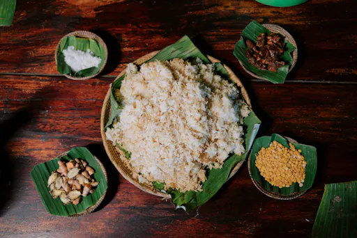 Full-Day Elephant Experience from Khao Lak