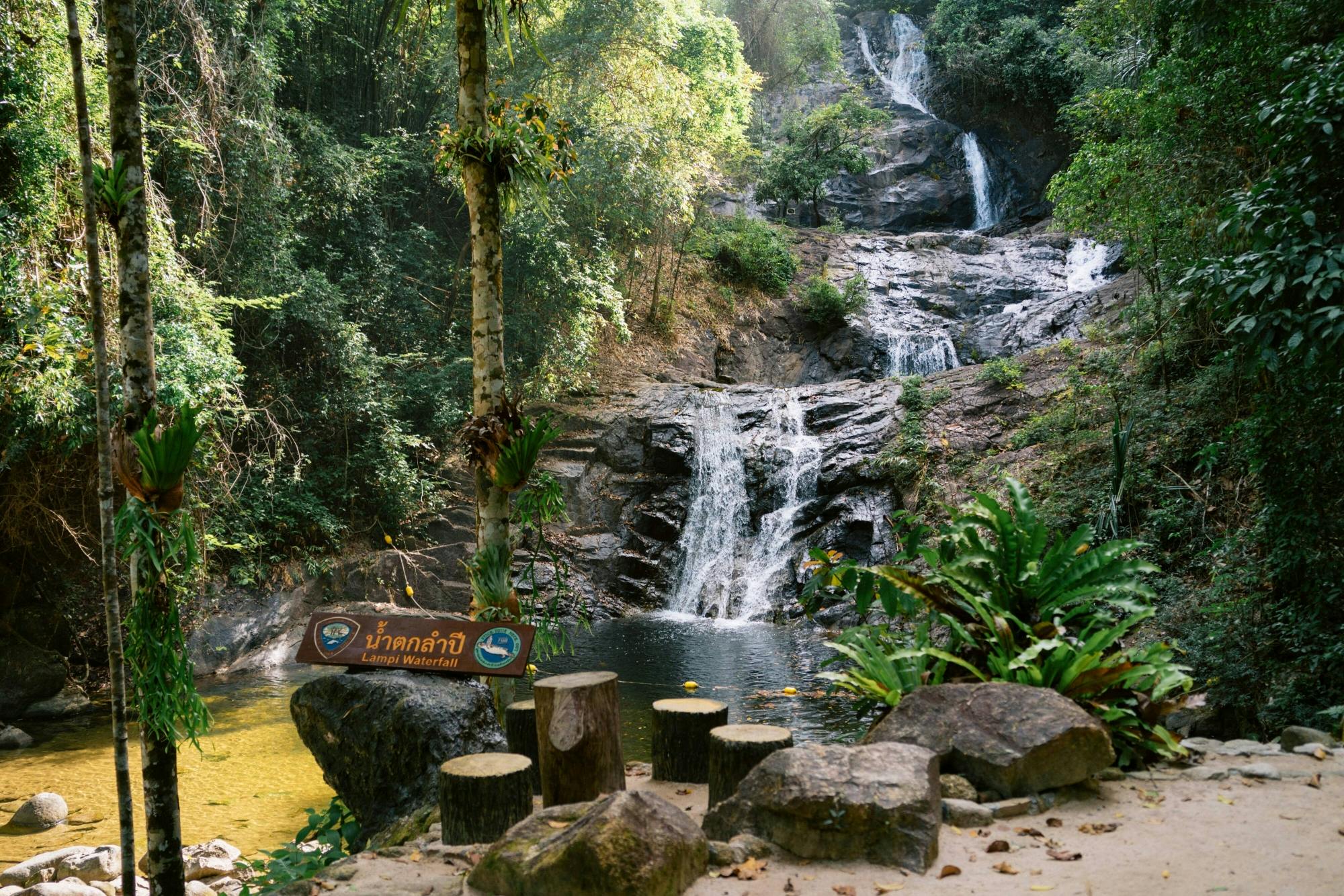 Full-Day Elephant Experience from Khao Lak