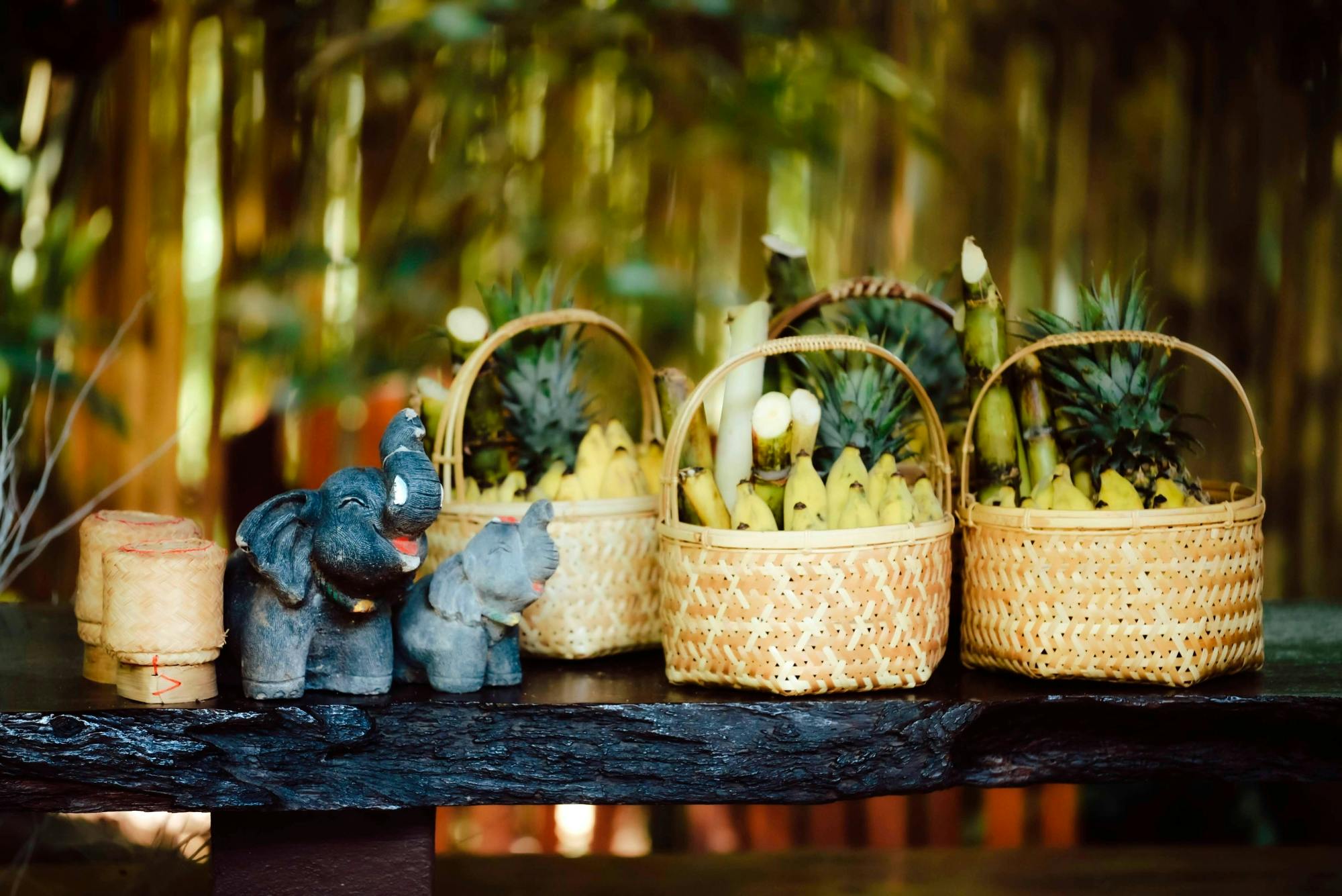 Full-Day Elephant Experience from Khao Lak