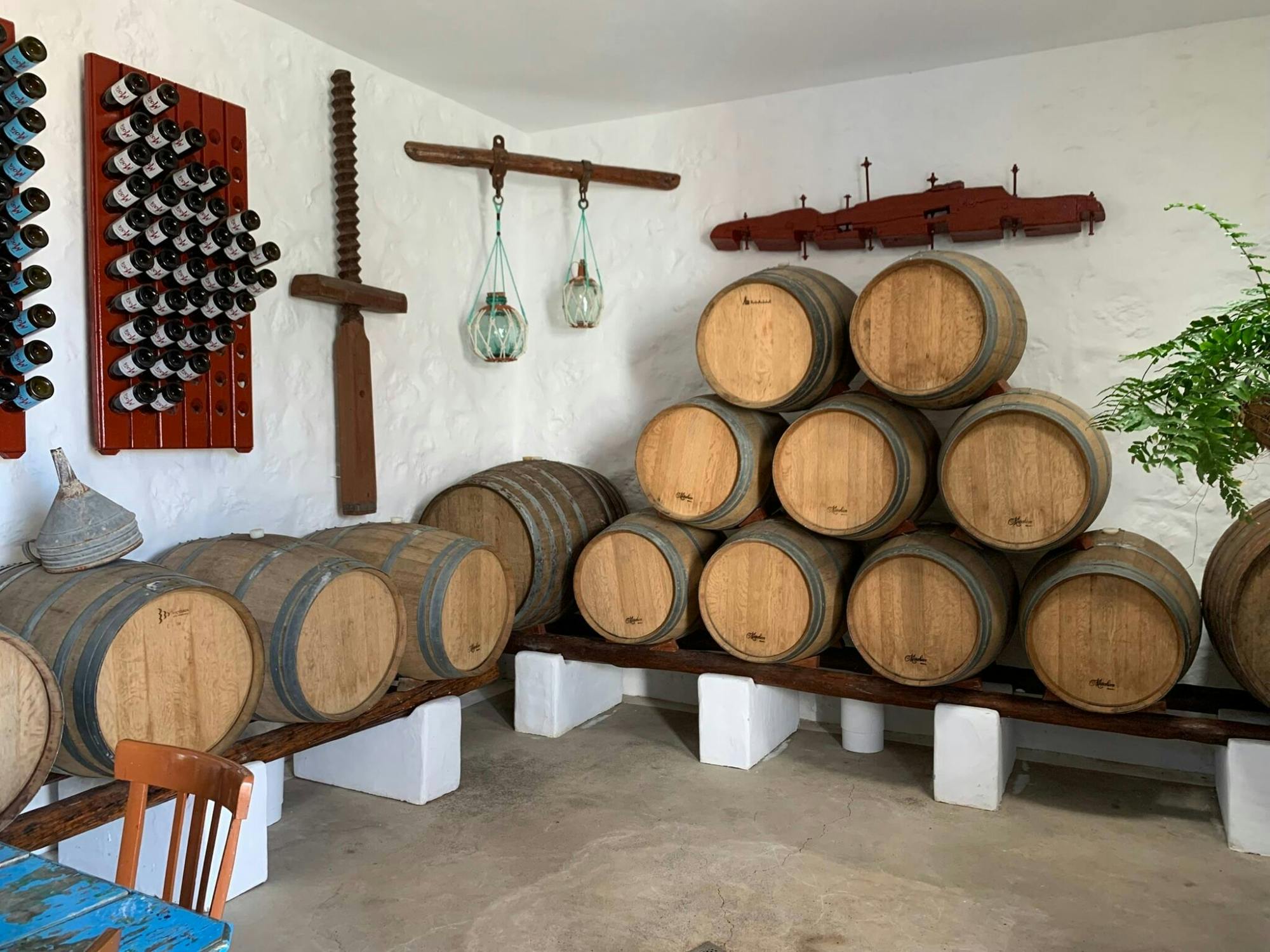 Lanzarote wine-tasting and museum tour at Bodega Finca Mota