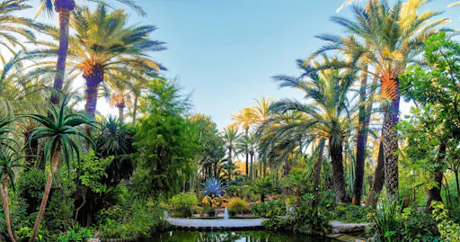 TUI Socca Champions League Rethymno taxi transfer