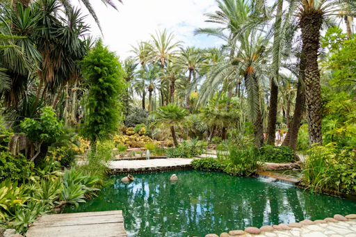 TUI Socca Champions League Rethymno taxi transfer