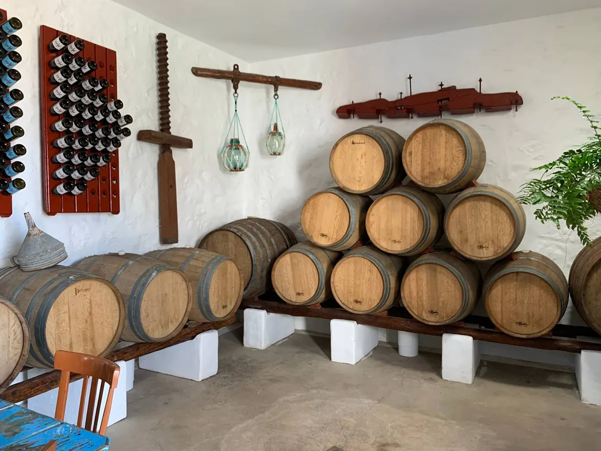 Lanzarote wine-tasting and museum tour at Bodega Finca Mota