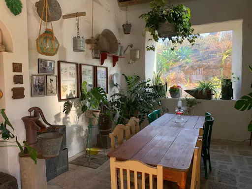 Lanzarote wine-tasting and museum tour at Bodega Finca Mota