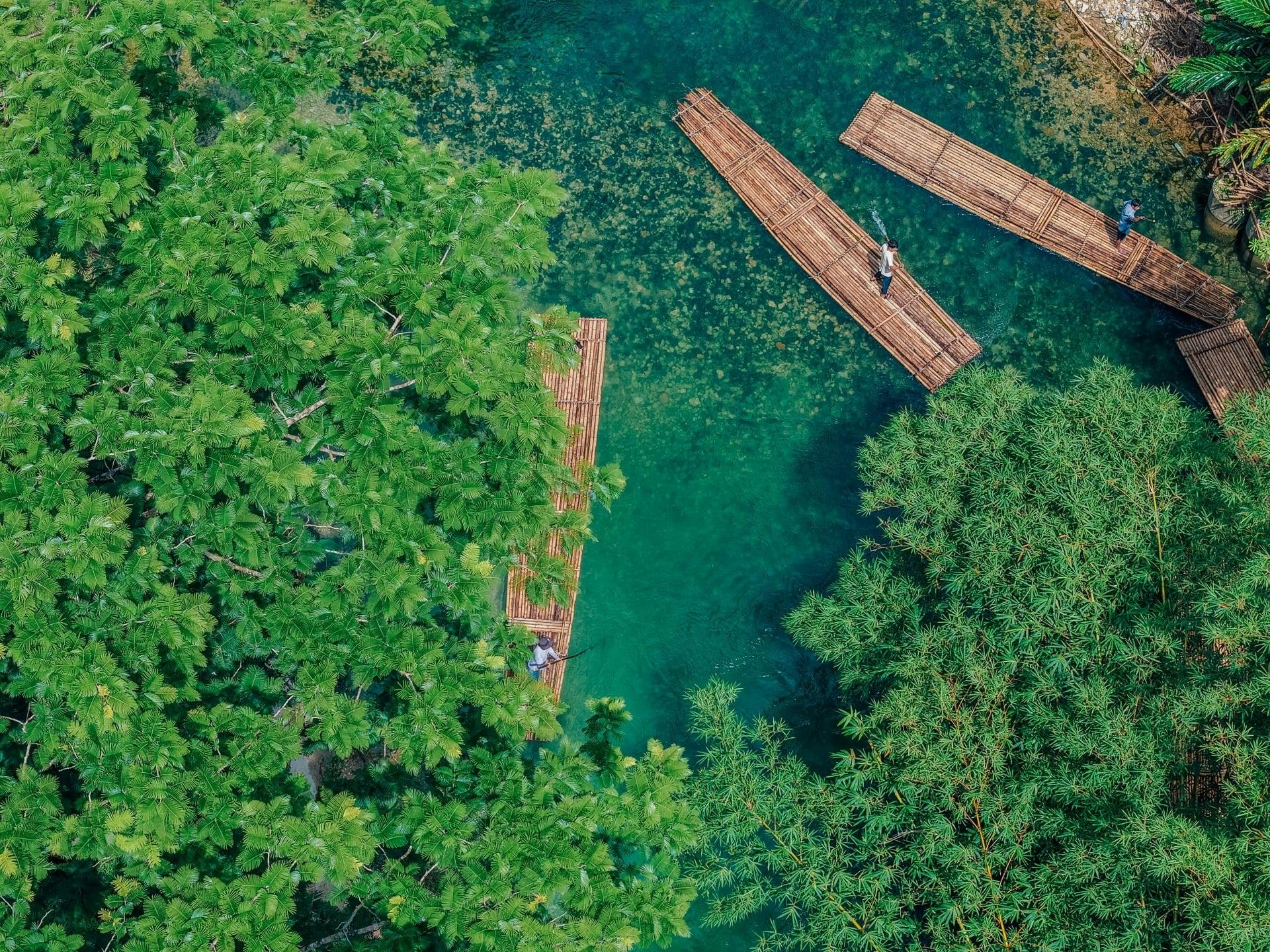 Full-Day Elephant Experience from Khao Lak