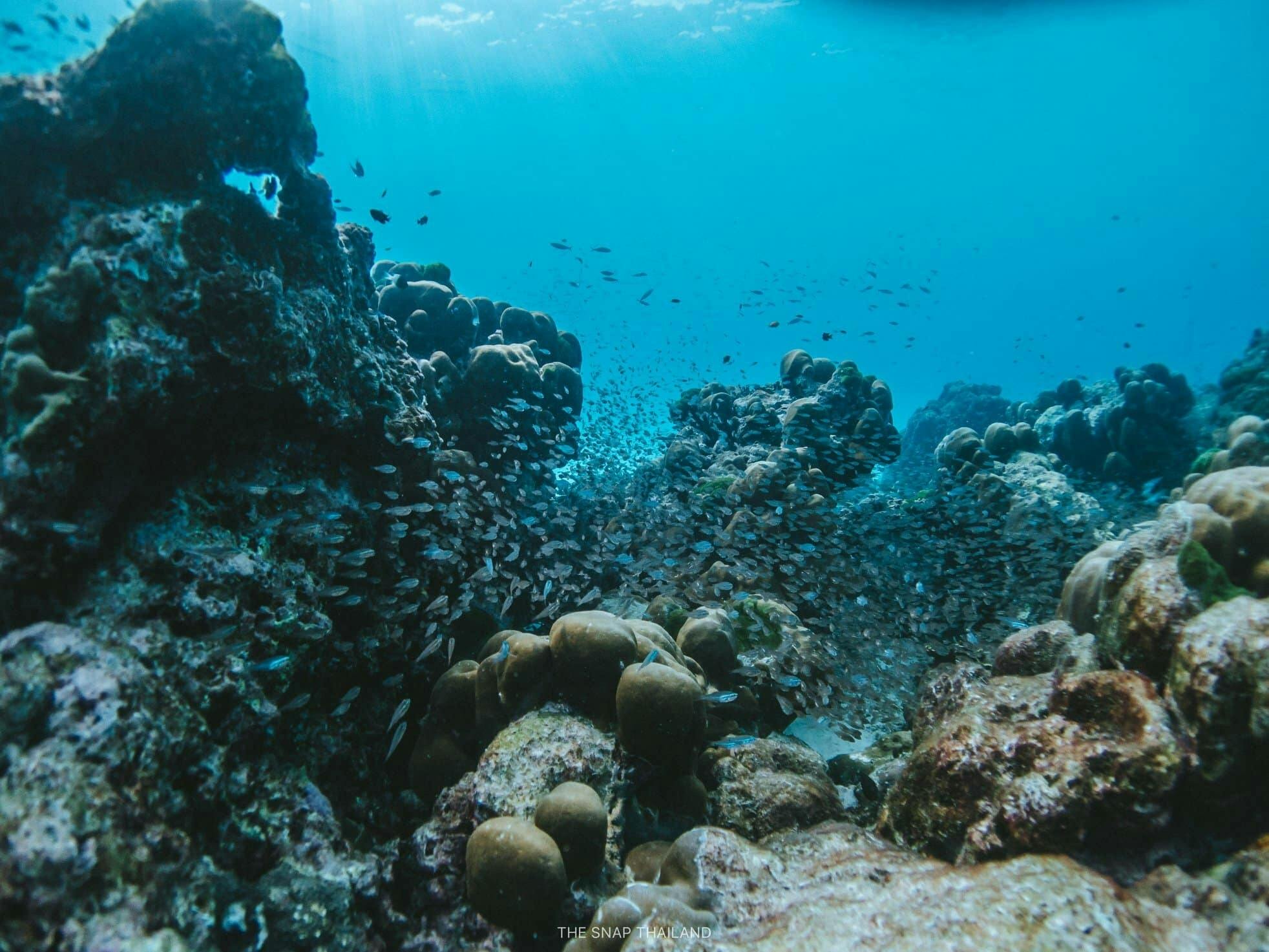 Full-day catamaran tour of Thailand’s Similan Islands