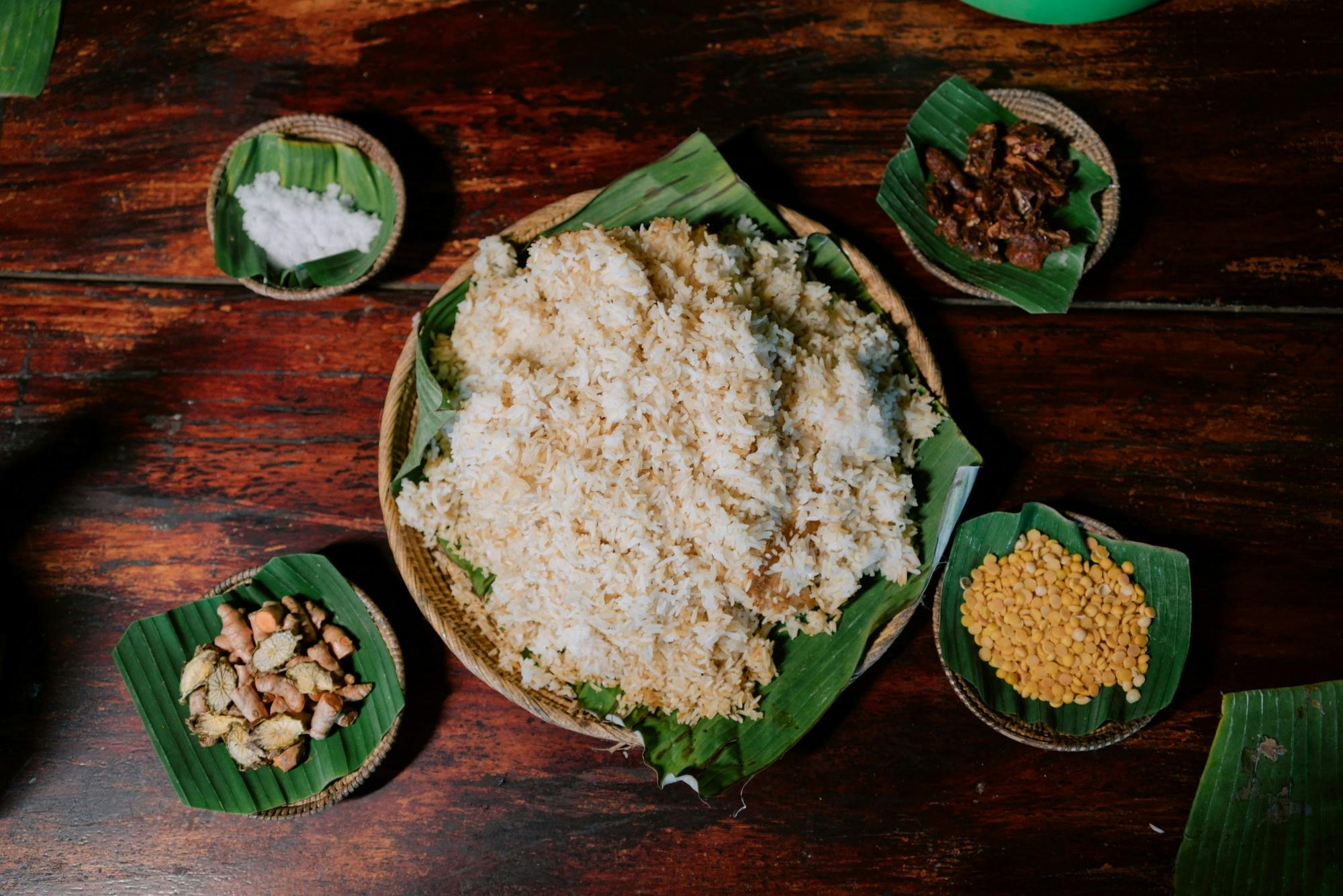 Full-Day Elephant Experience from Khao Lak