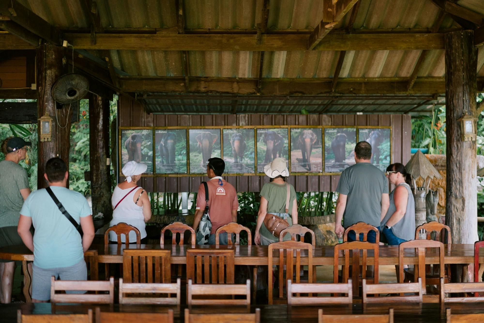 Full-Day Elephant Experience from Khao Lak