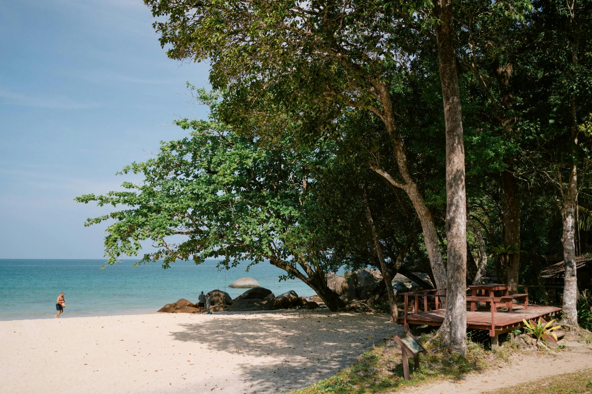 Khao Lak full-day nature tour with turtle shelter visit