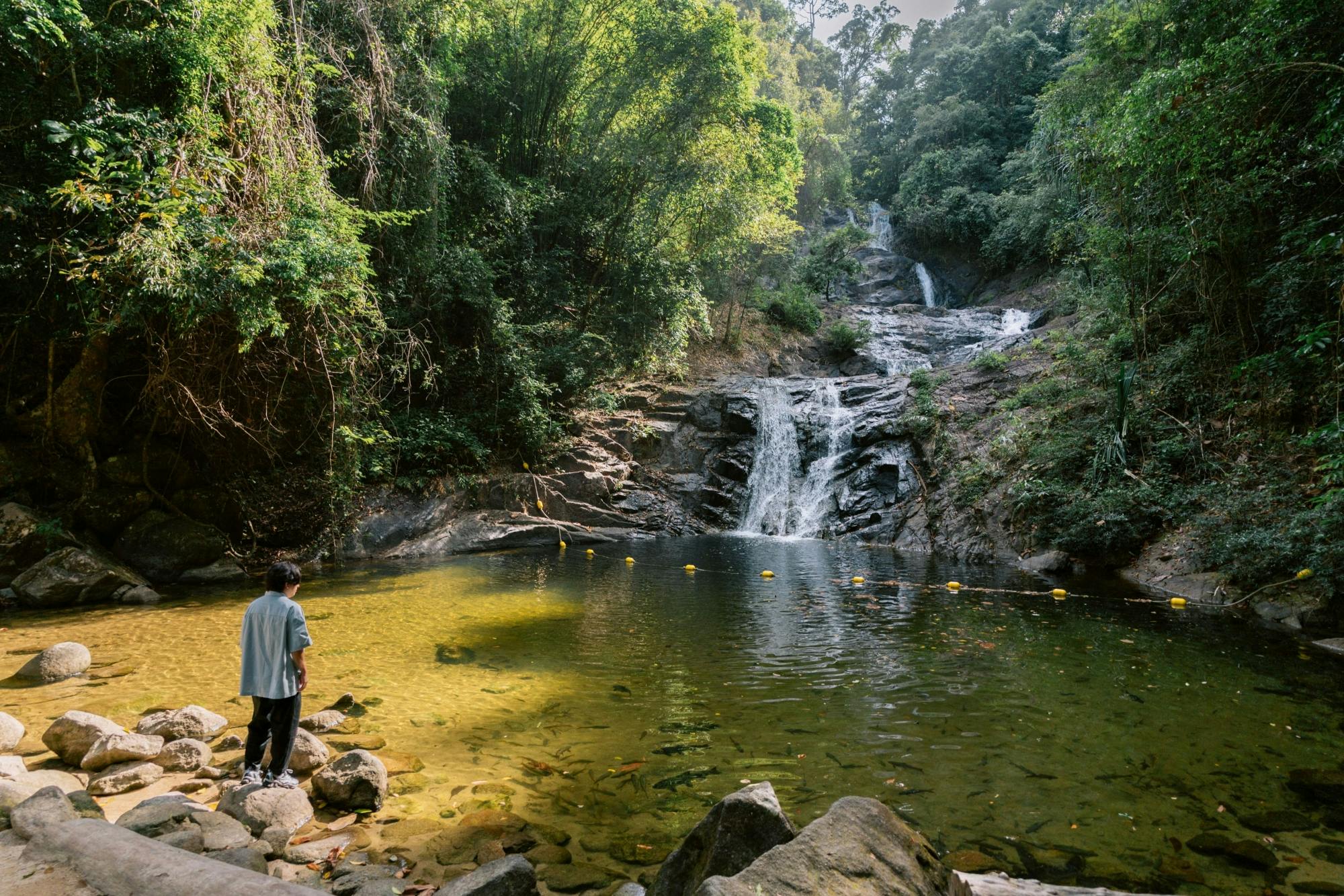 Khao Lak full-day nature tour with turtle shelter visit