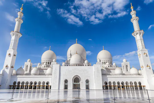 Visita a la ciudad de Abu Dhabi con recogida en el aeropuerto
