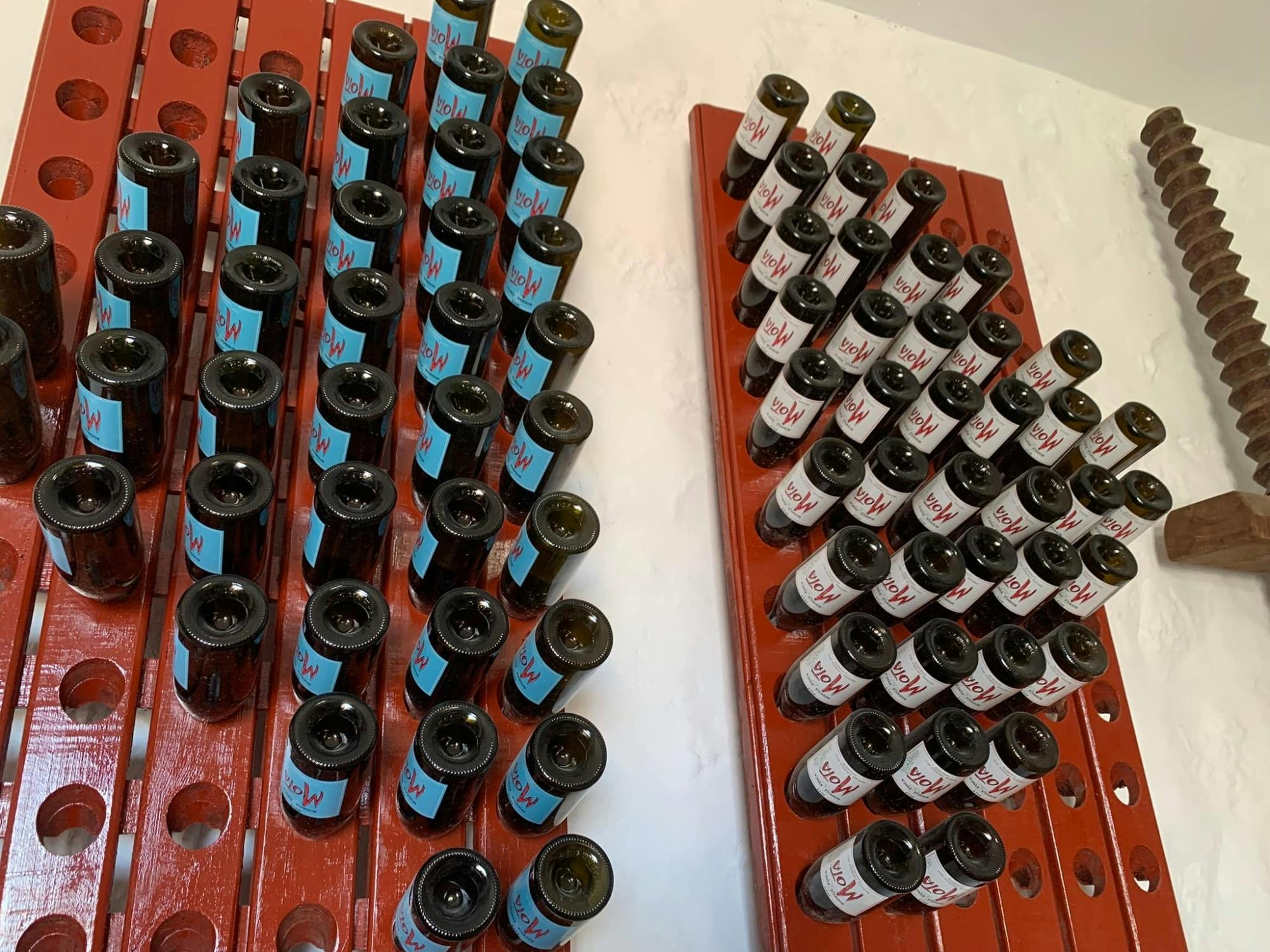 Lanzarote wine-tasting and museum tour at Bodega Finca Mota