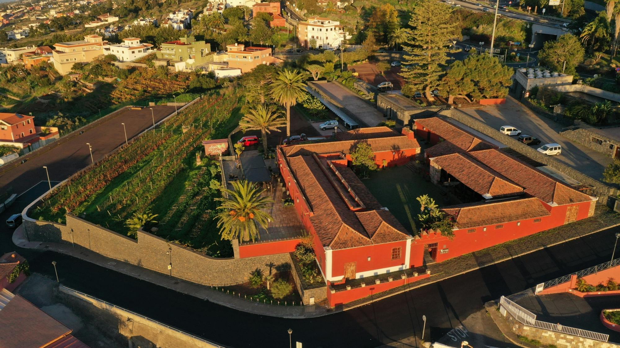 Wine Museum tickets and Malvasia tasting