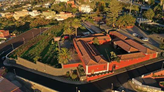 Wine Museum tickets and Malvasia tasting