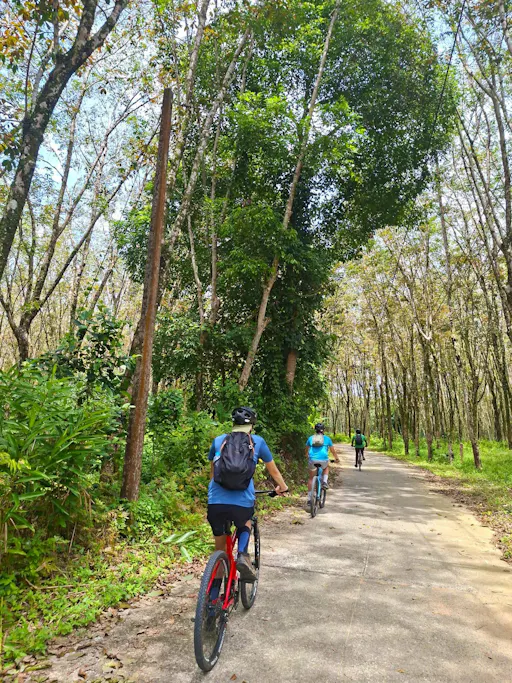 Full-day hike and bike tour of Thai Muang National Park