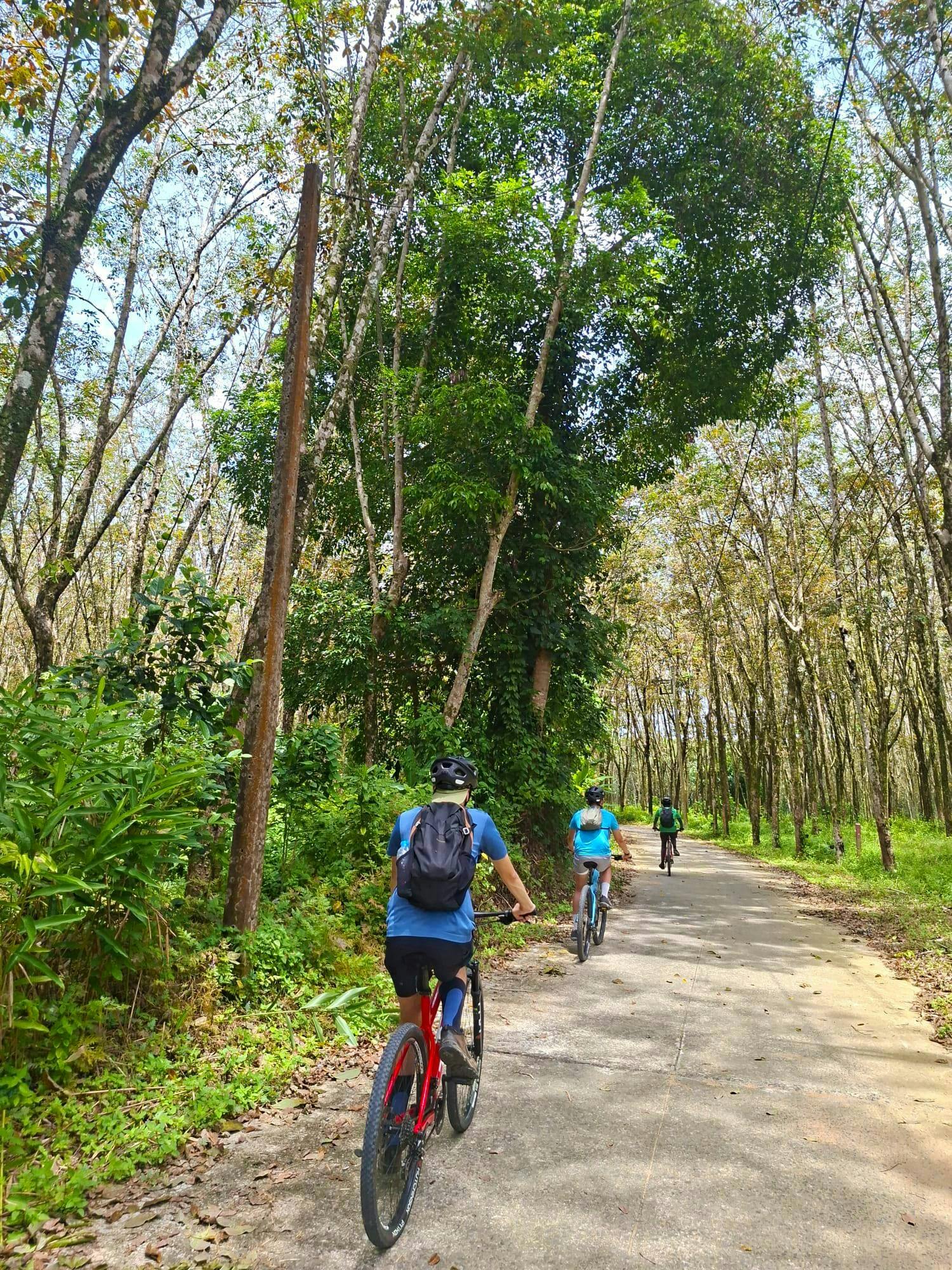 Full-day hike and bike tour of Thai Muang National Park