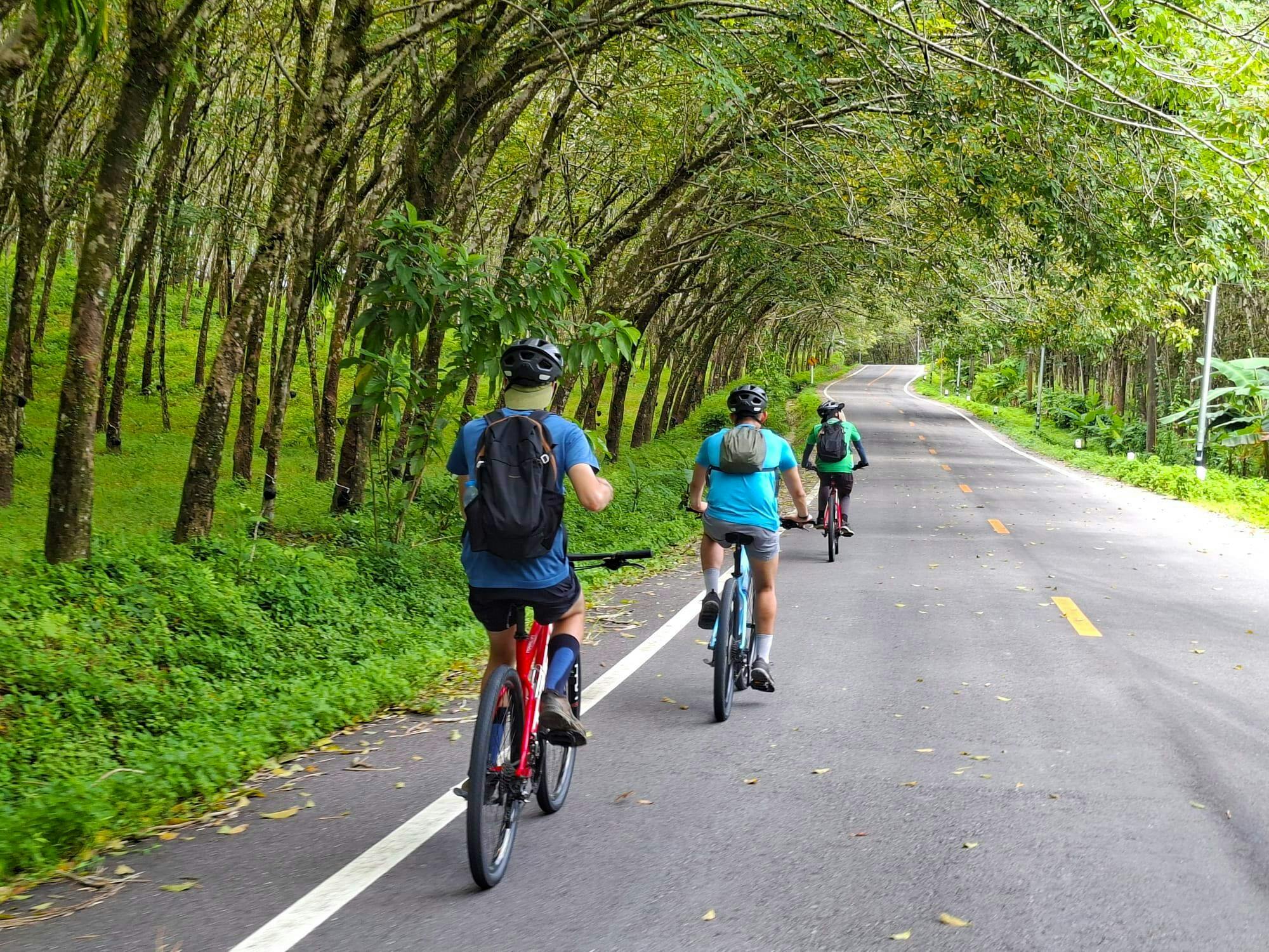 Full-day hike and bike tour of Thai Muang National Park