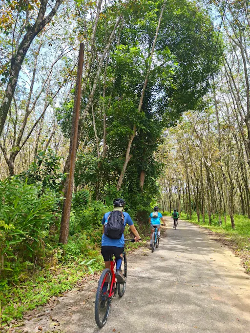 Full-day hike and bike tour of Thai Muang National Park
