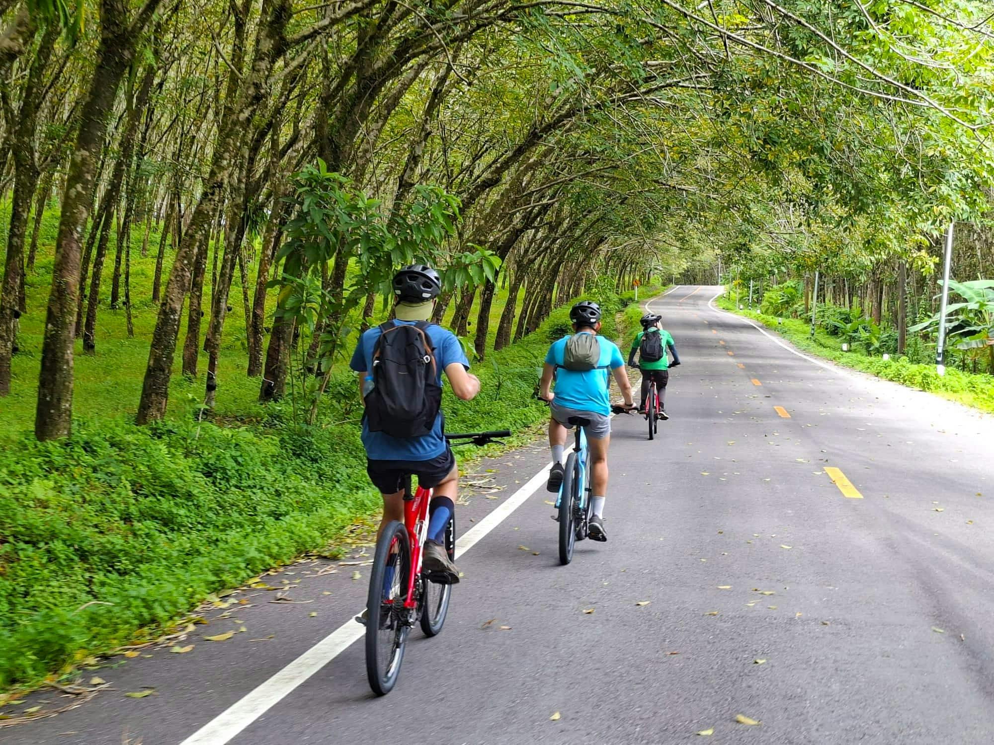 Full-day hike and bike tour of Thai Muang National Park