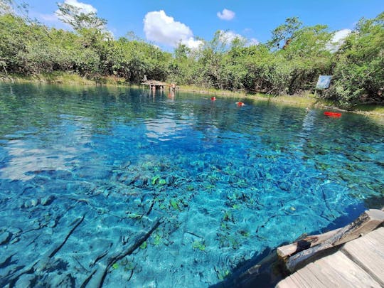 Blue Crater, Imox Lagoon and Poza Azul boat tour from Flores