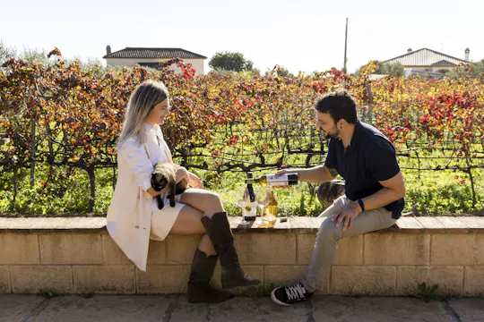 Visita de medio día a una bodega con degustación de vinos y tapas