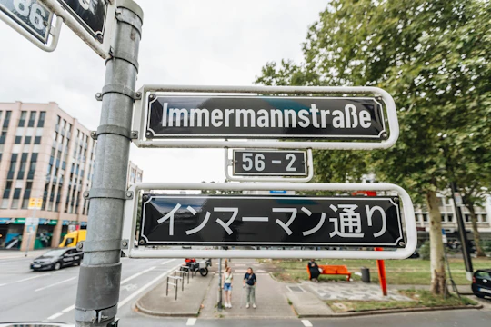 Düsseldorf Little Tokyo guided food and culture tour