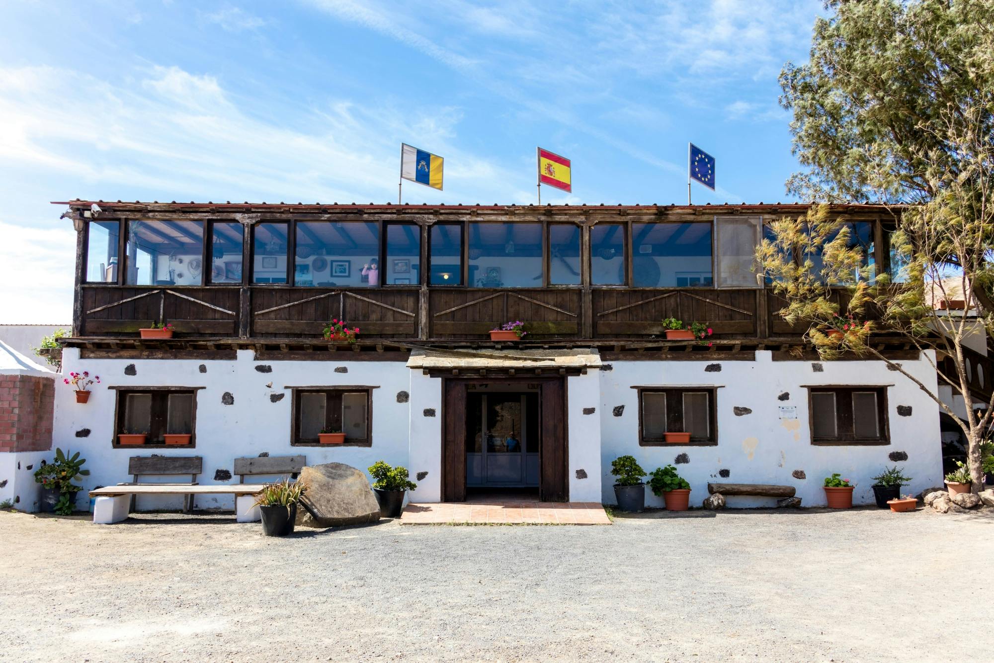 Fuerteventura island tour with goat farm visit