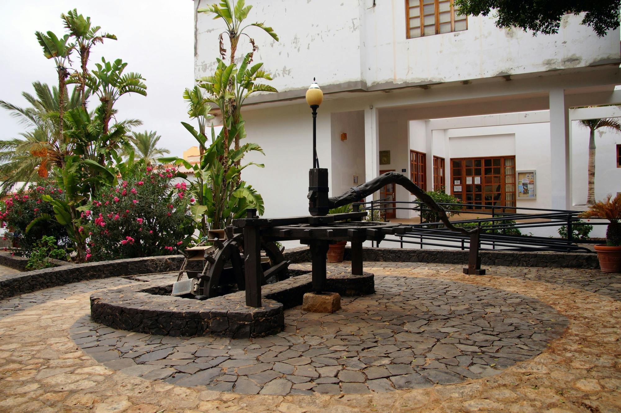 Fuerteventura island tour with goat farm visit