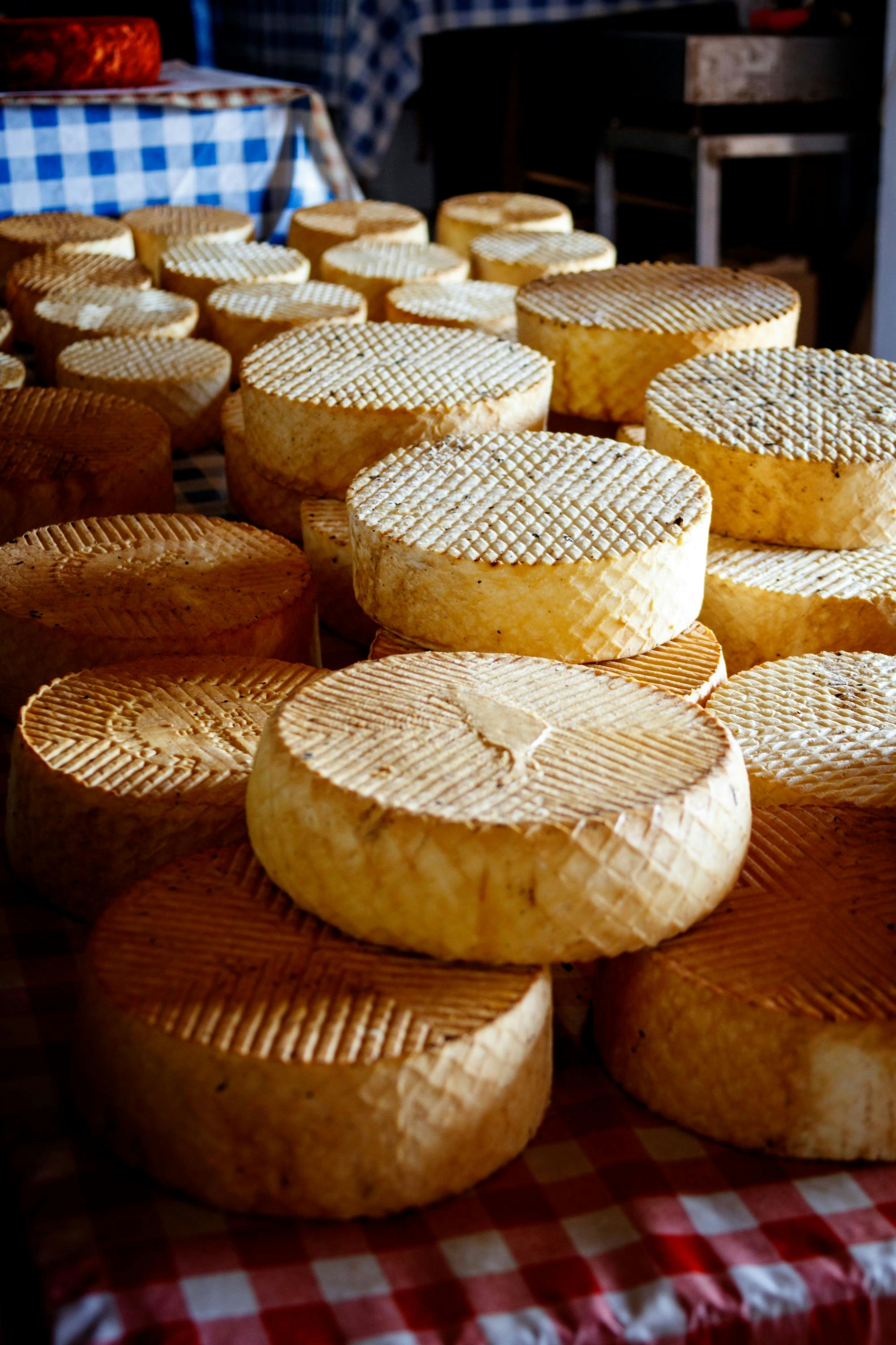 Fuerteventura island tour with goat farm visit