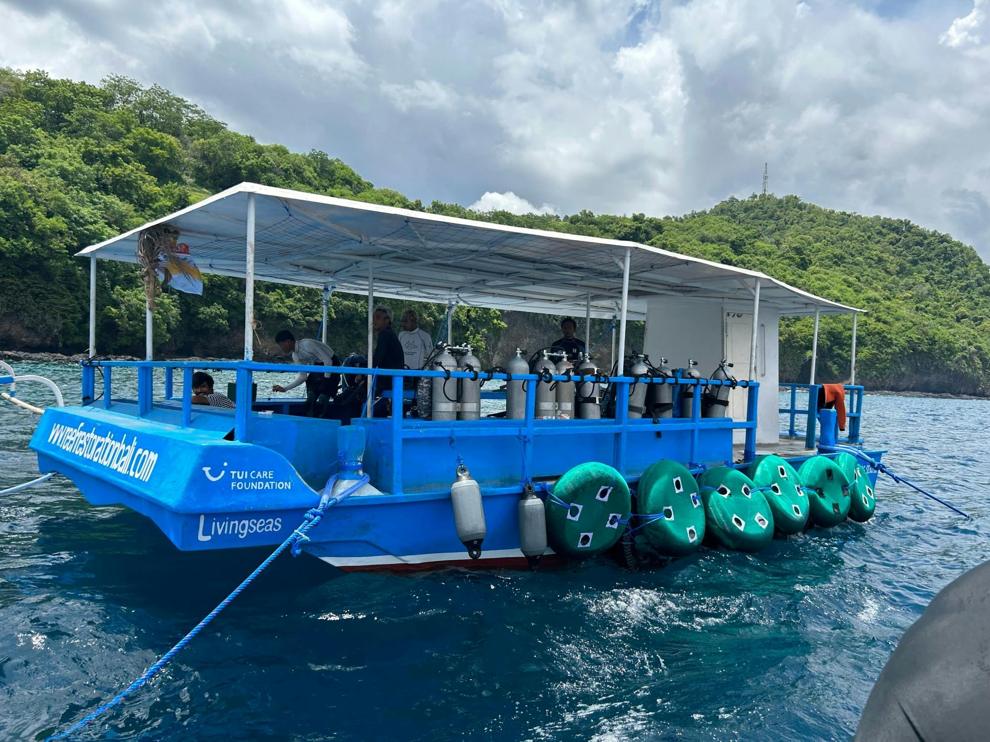 Coral restoration snorkelling tour in Bali with lunch
