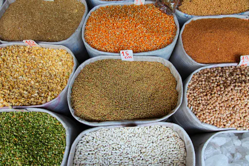 Tangier Medina & Kasbah Tour