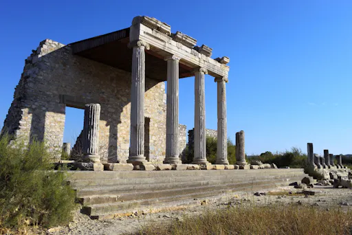 Half-day Miletos tour and Temple of Apollo visit