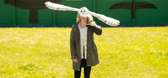 Bird of Prey, Cliffs of Moher and Aillwee Cave from Dublin