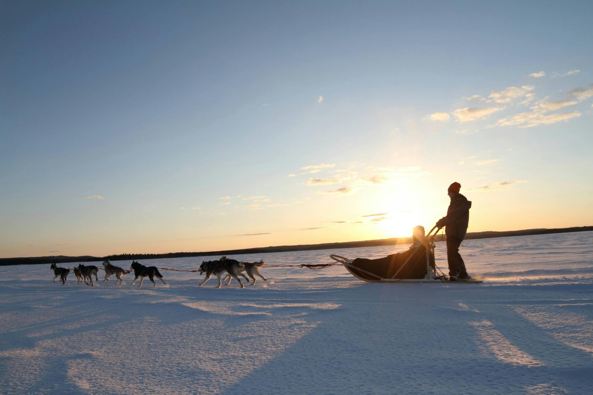 Six-kilometre self-driving husky ride in Vuokatti