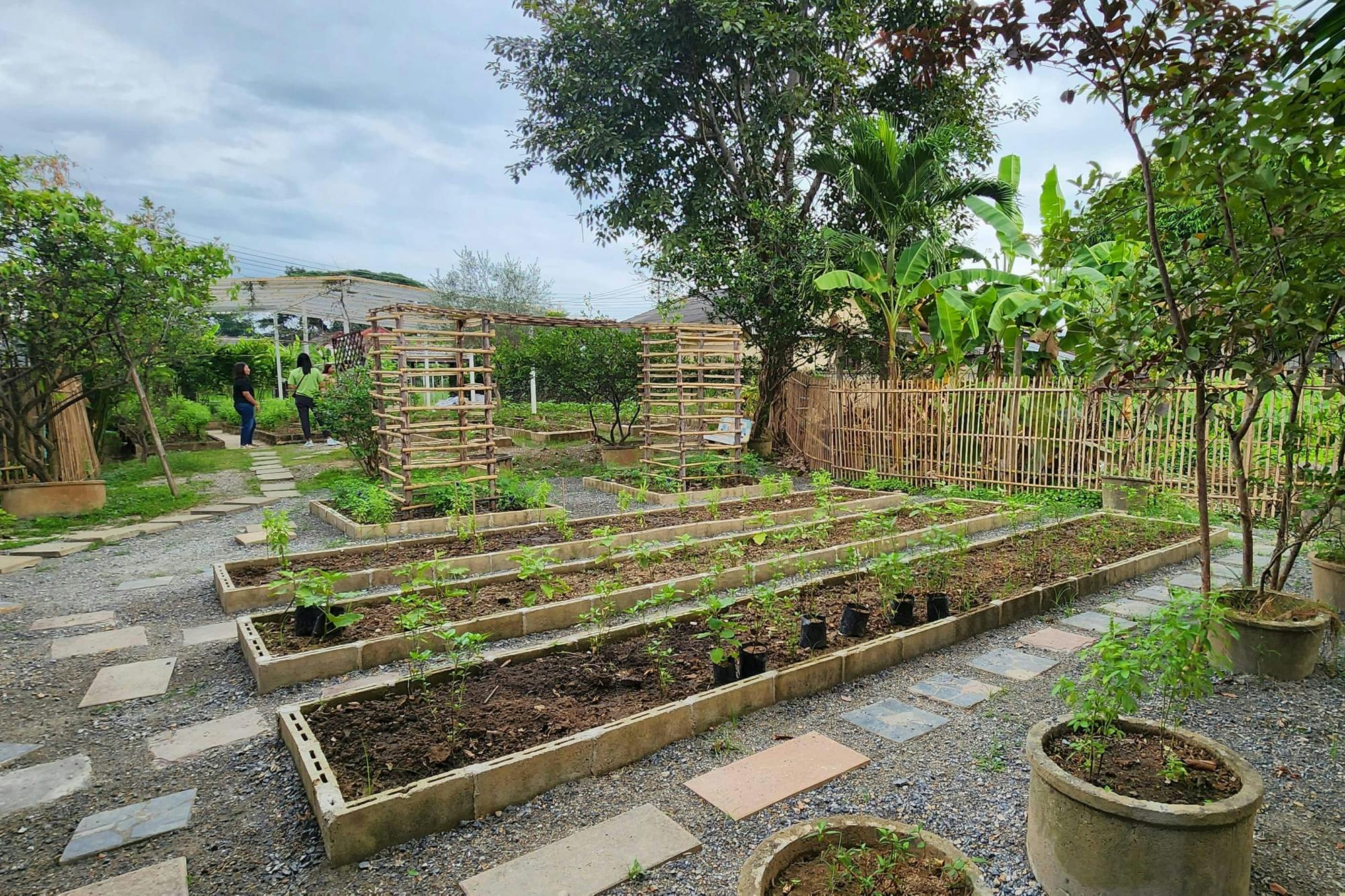 Half-day Thai cooking class in Chiang Mai