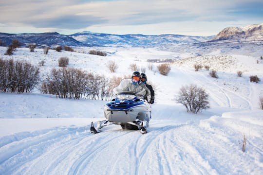 Two-hour snowmobile safari in Vuokatti