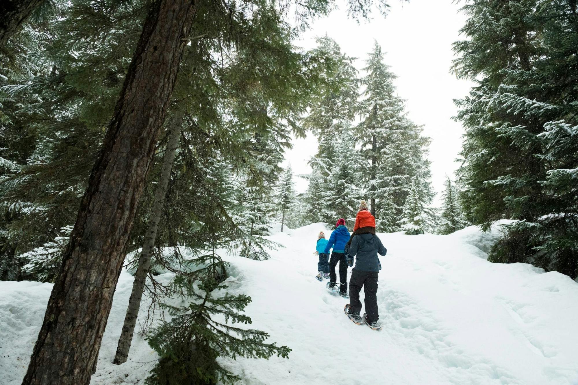 Snowshoe adventure in Vuokatti